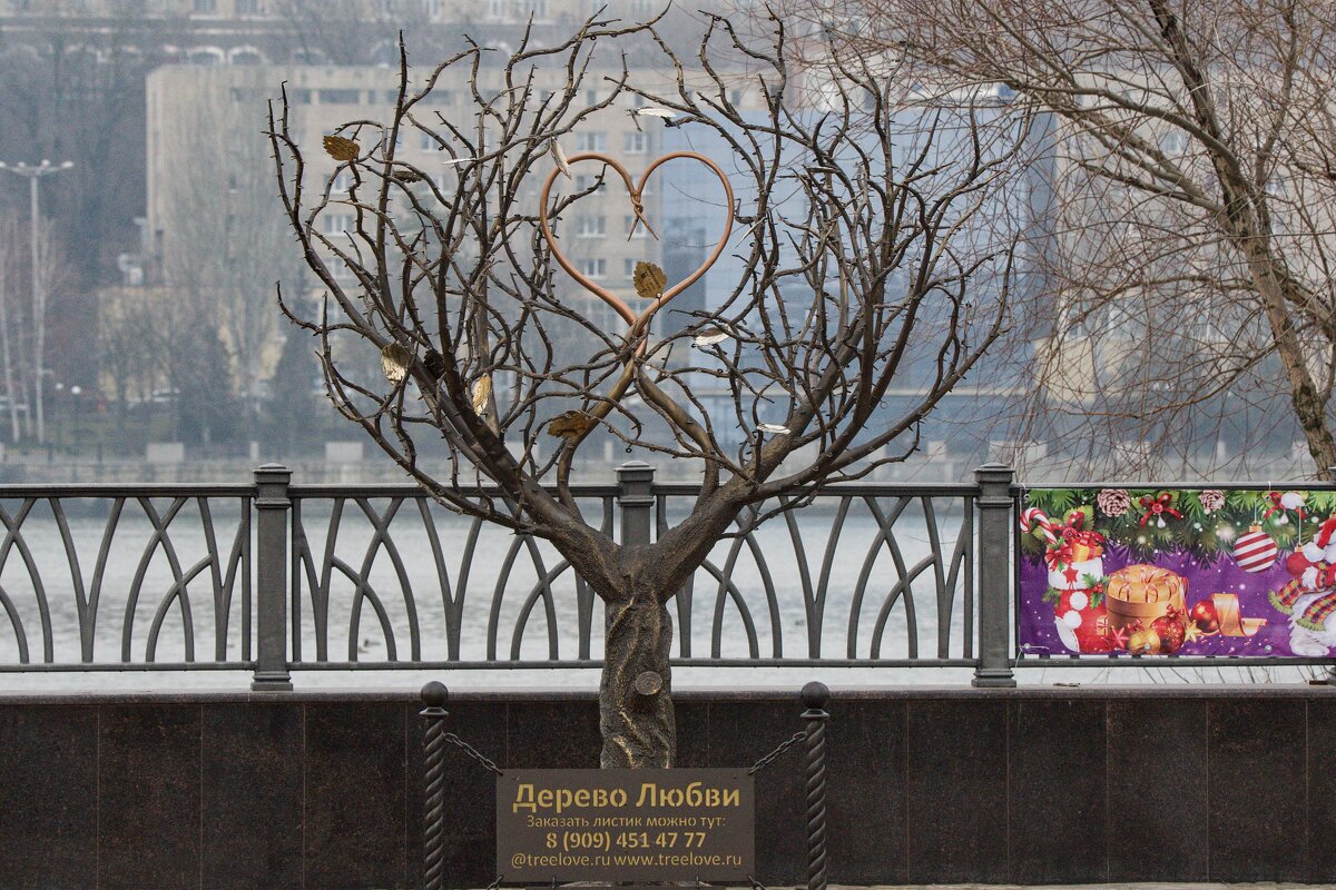 Бывают и такие деревья - Владимир Купчук 