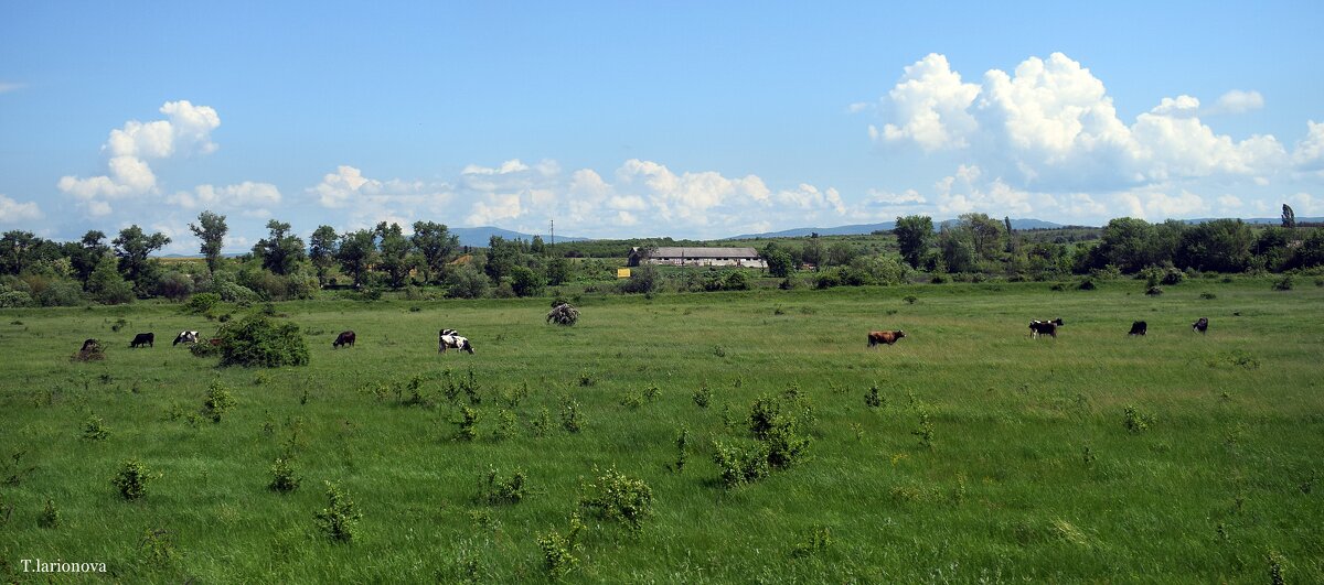 Карпатская пастораль - Татьяна Ларионова