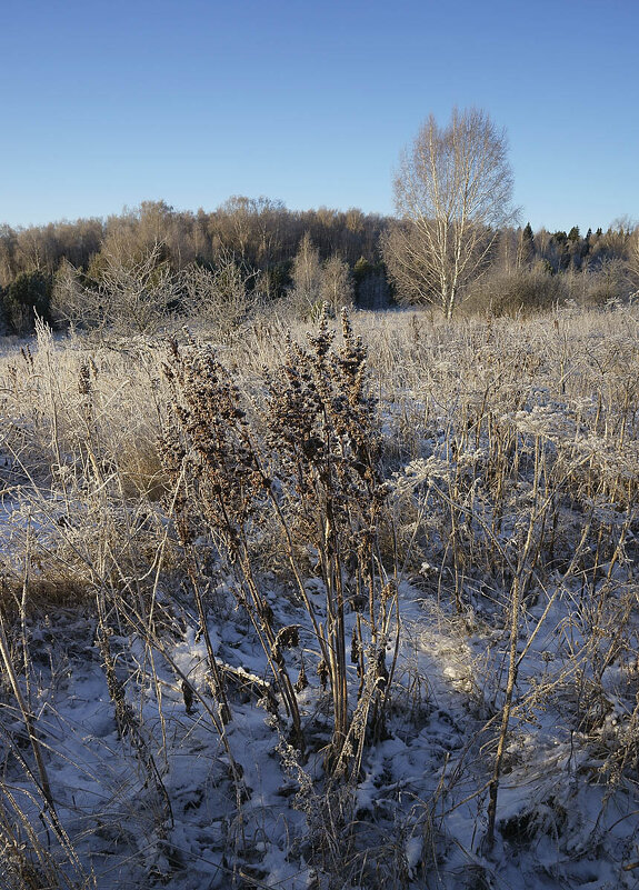 Морозное утро в долине Протвы - Сергей Курников