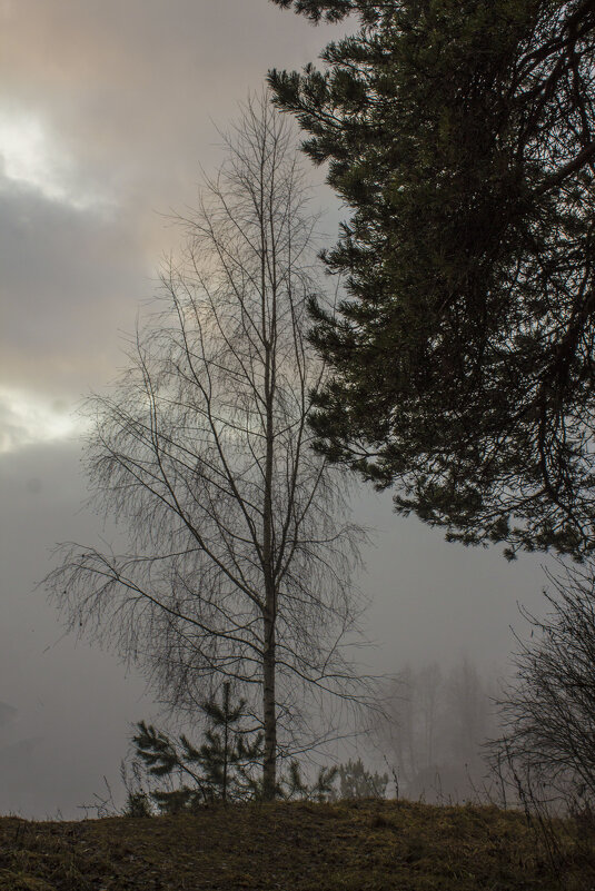 Над опьянённой ливнями землёй Царят седые призраки тумана, - Надежда Федорова