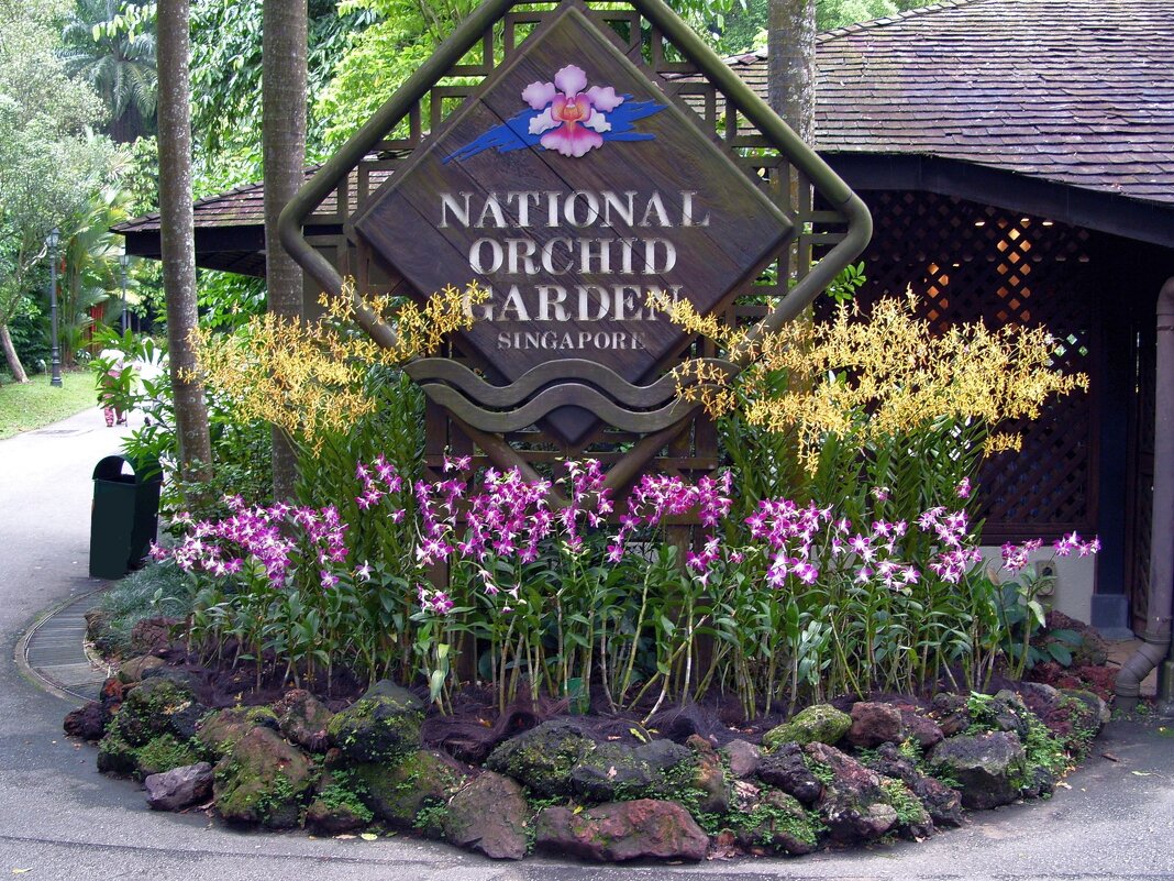 Национальный сад орхидей в Сингапуре - Ольга Довженко