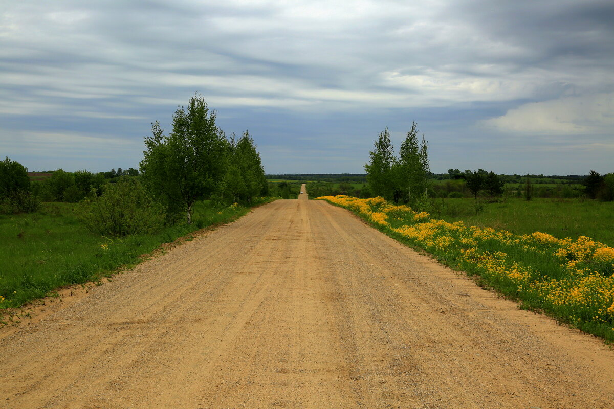 Дорога... - Юрий Моченов