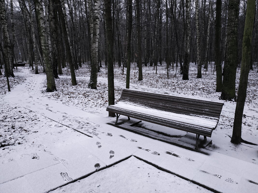 Москвичи рады хоть такому снегу к Новому году - Андрей Лукьянов