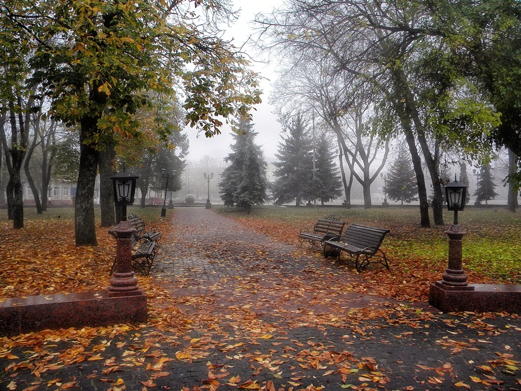 Осенние зарисовки - Роман Савоцкий