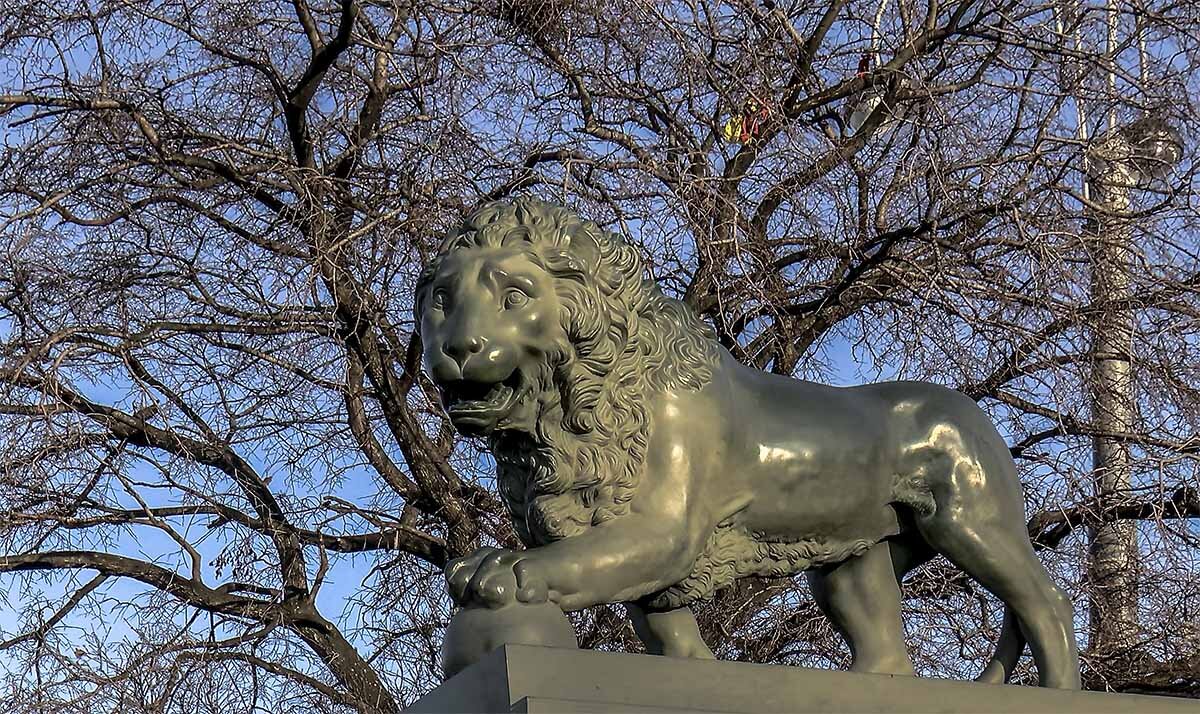 Санкт-Петербург. Сторожевой лев на Дворцовой пристани Адмиралтейской набережной. - Игорь Олегович Кравченко