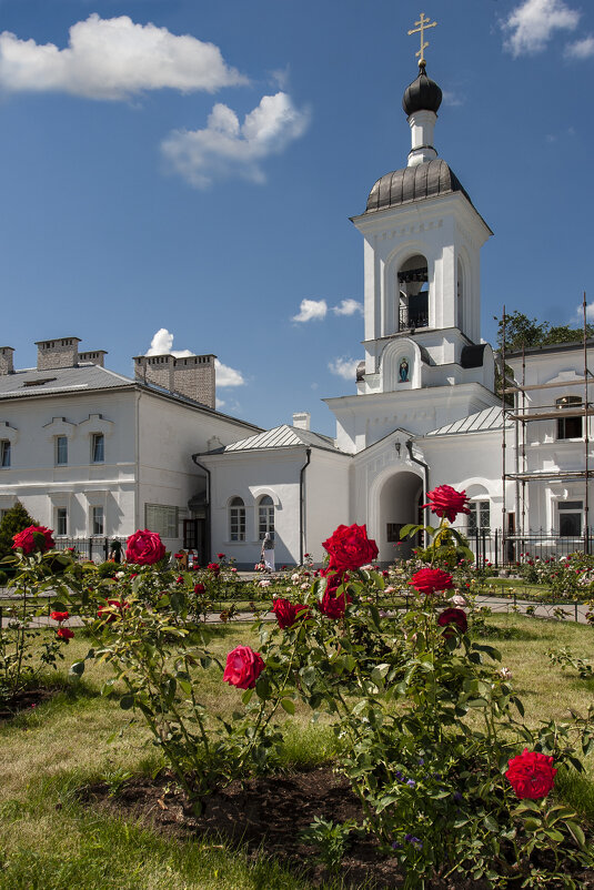 Спасо-Ефросиниевский монастырь (вход вид изнтри) г. Полоцк - Григорий П