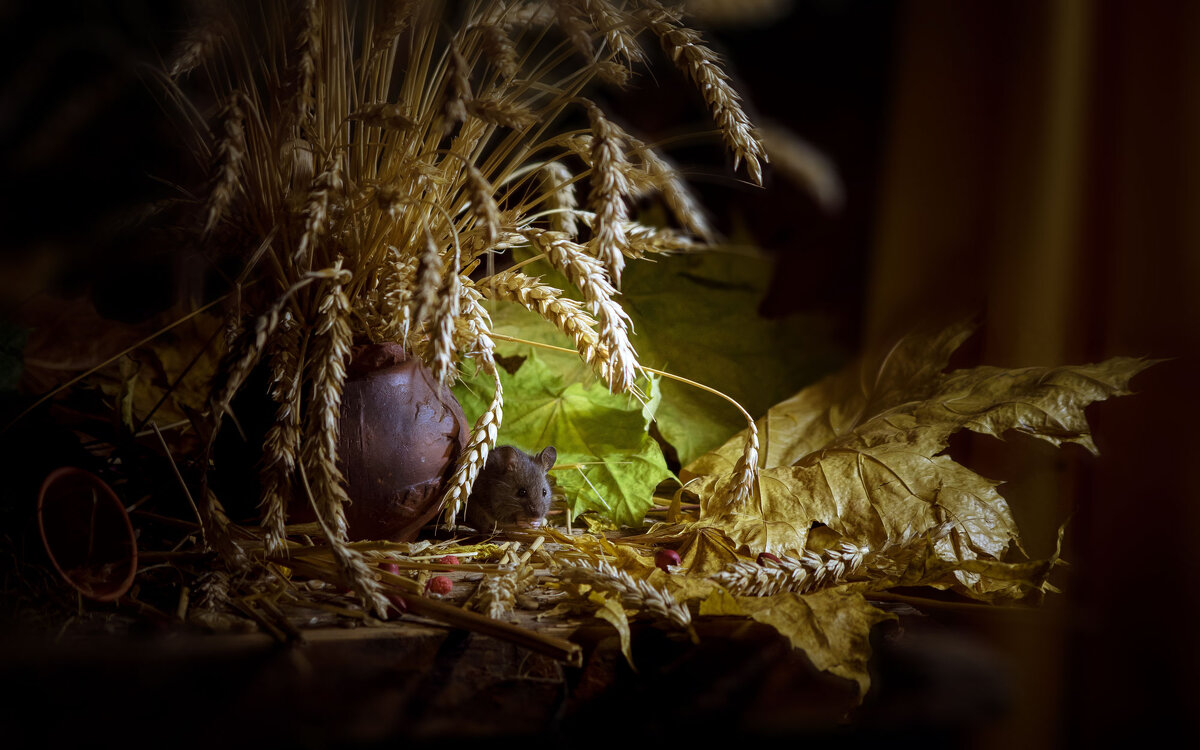 Мышонок и натюрморт с пшеницей... - Олег Сидорин