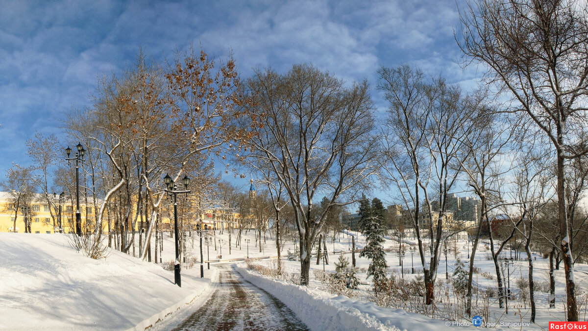 парк северный хабаровск зимой