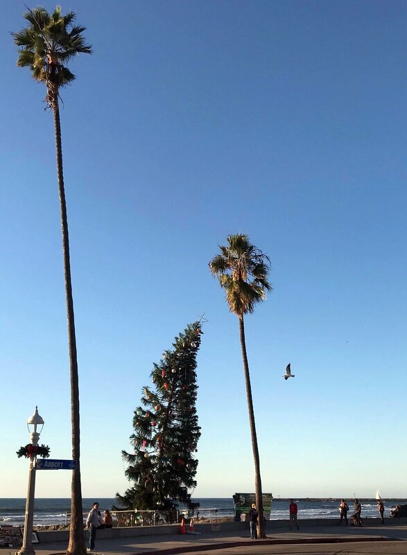Новогодне-рождественская ёлочка в  Сан-Диего, Калифорния - Елена 
