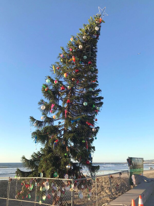 Новогодне-рождественская ёлочка в Сан-Диего на берегу Тихого океана - Елена 