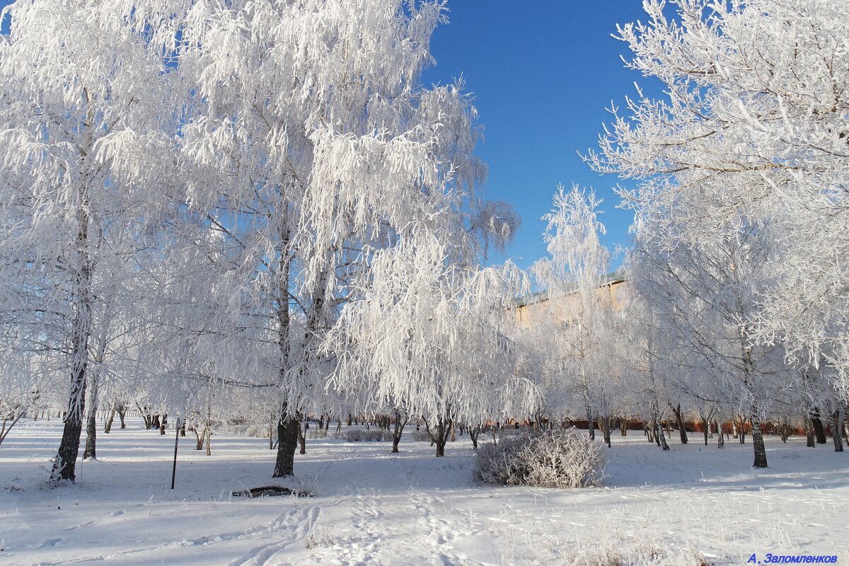Пусть в январе всем снега хватает! :-) - Андрей Заломленков
