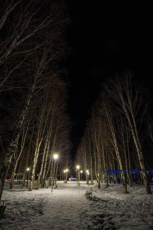 Ночь в парке на 1 января. г. Онега. - Валентин Кузьмин