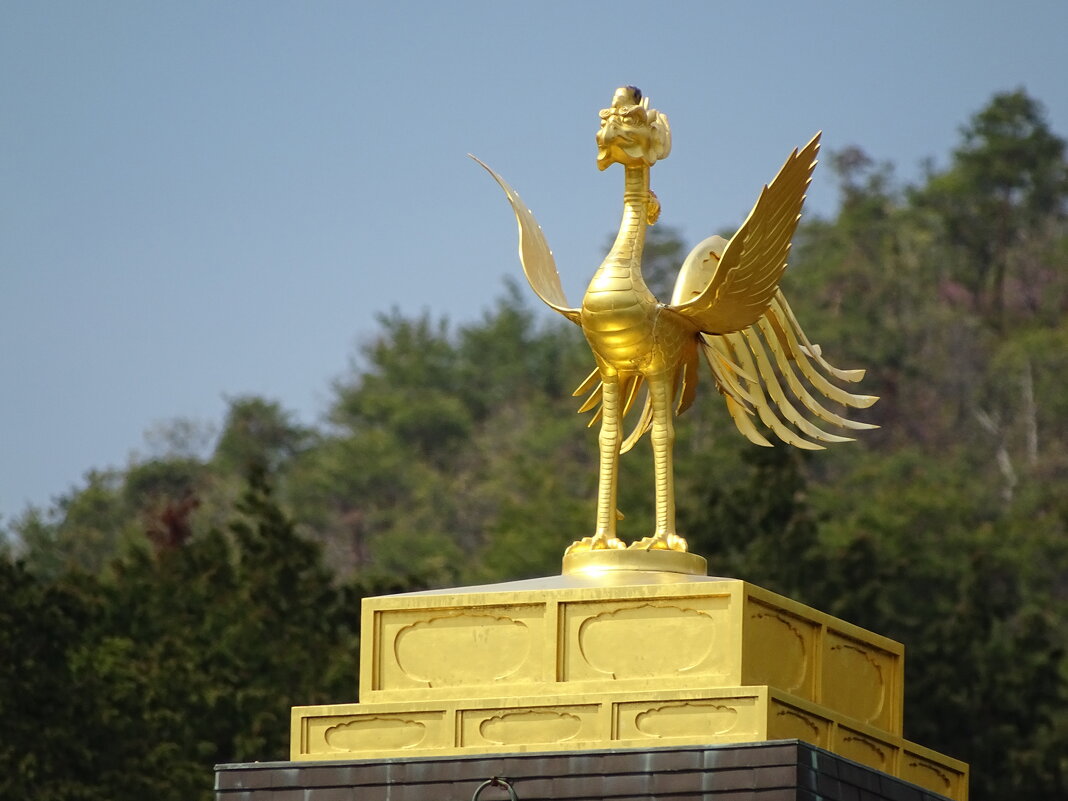 Китайский феникс, Золотой павильон, Киото, Япония - Иван Литвинов