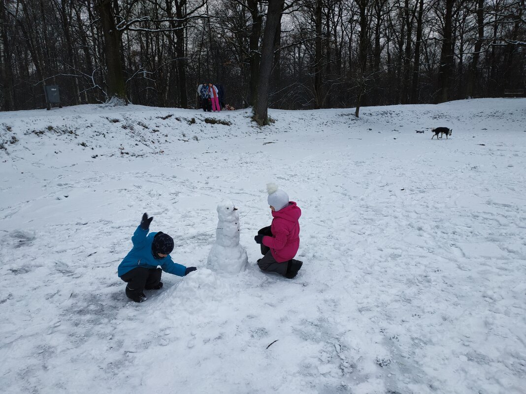 Дети всегда рады зиме! - Андрей Лукьянов
