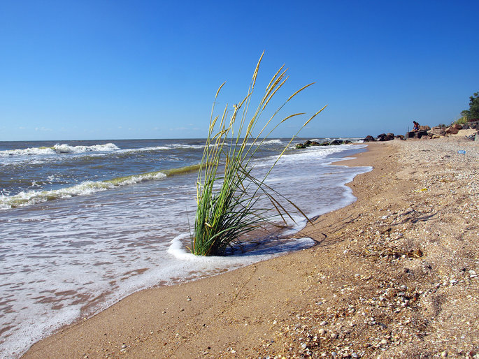 азовское море - ванюшка 