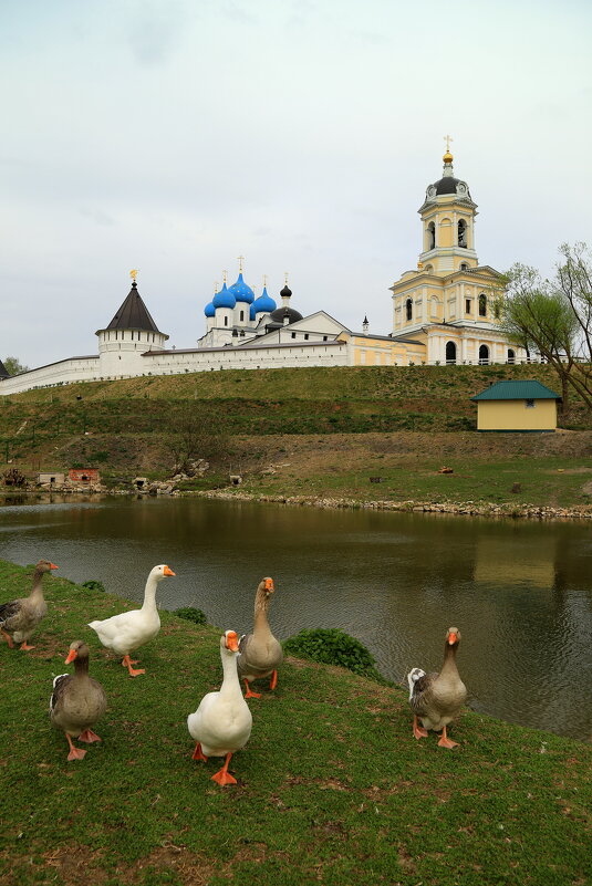Высоцкий монастырь - Юрий Моченов