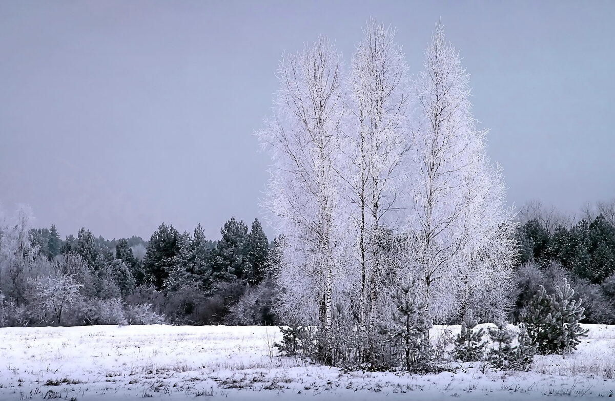 Начало зимы - Varvara 