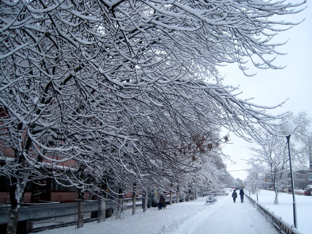 Это было снежной зимой - Елена Семигина