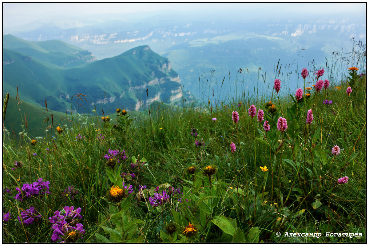 цветущие луга на горе Кертмен - Александр Богатырёв