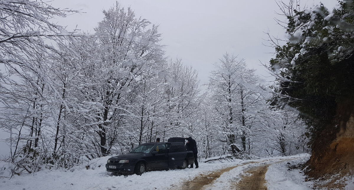 По снежным дорогам гор - Наталья (D.Nat@lia)