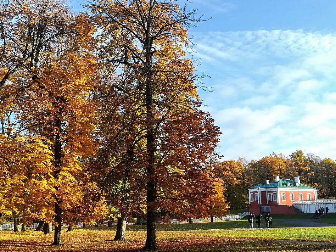 Осень в парке Кадриорг - veera v