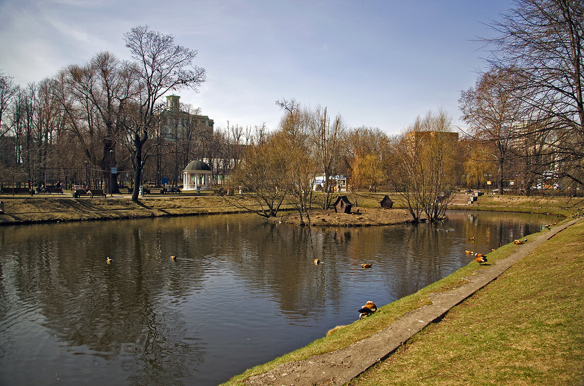 Весна в Екатерининском парке - Анатолий Цыганок
