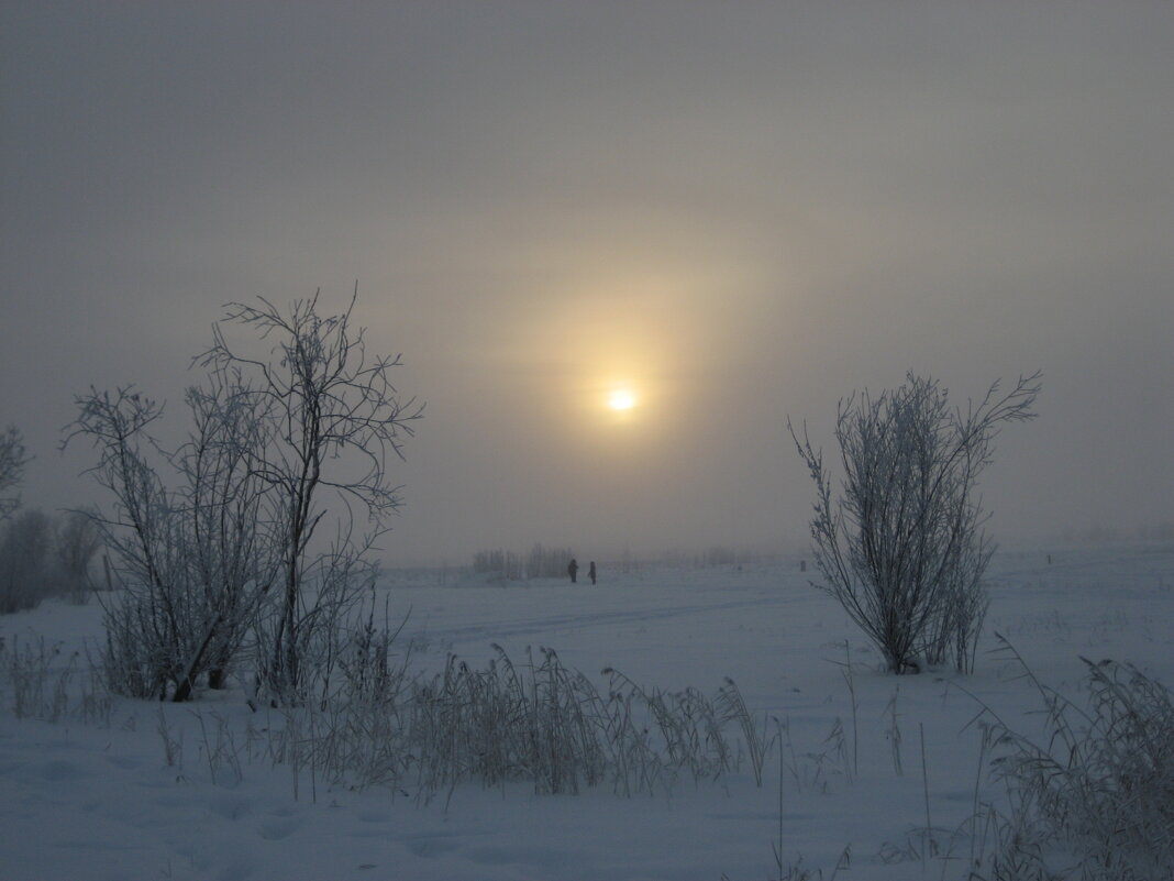 Прогулки в тумане - Anna Ivanova