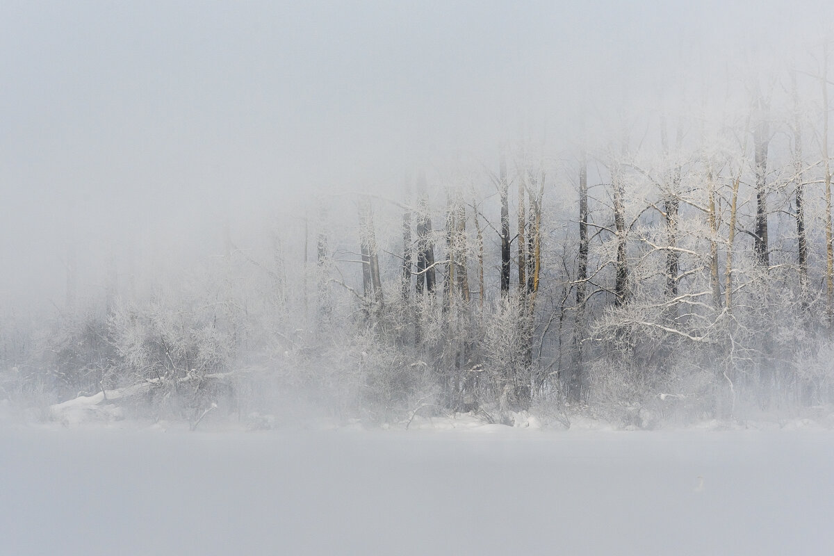 Туман. Озеро Светлое Алтай - Ирина Малышева