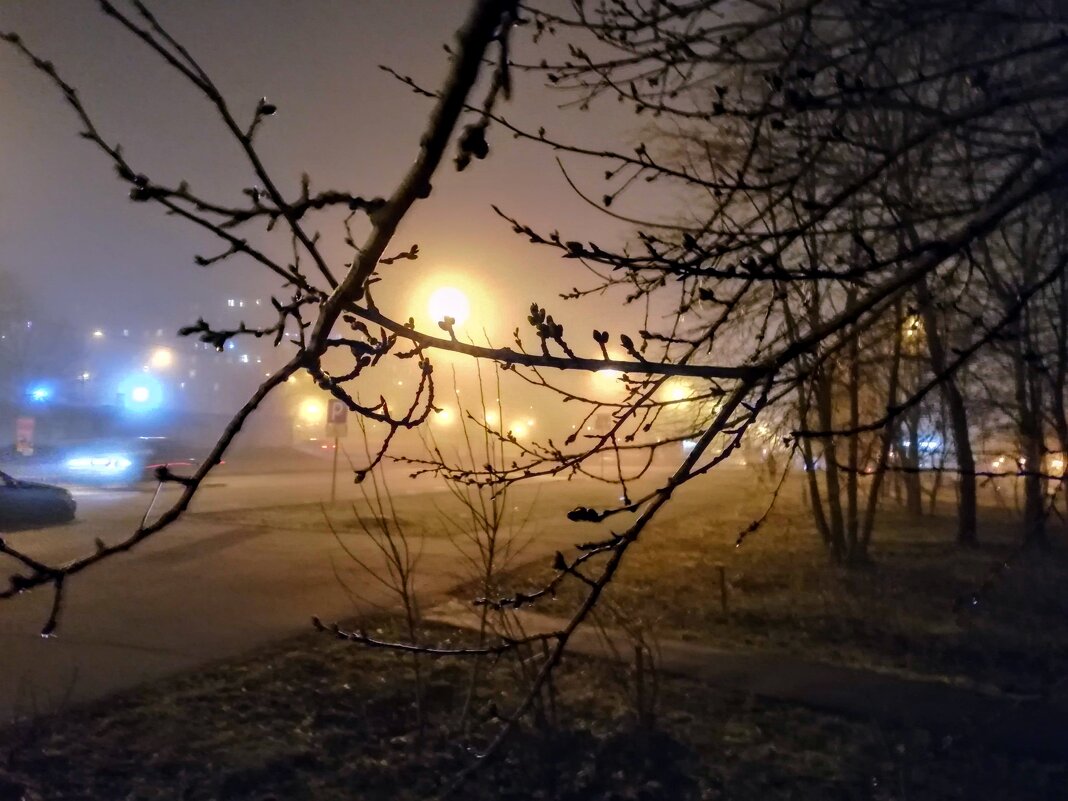 Зимний туман - klimkovsky 