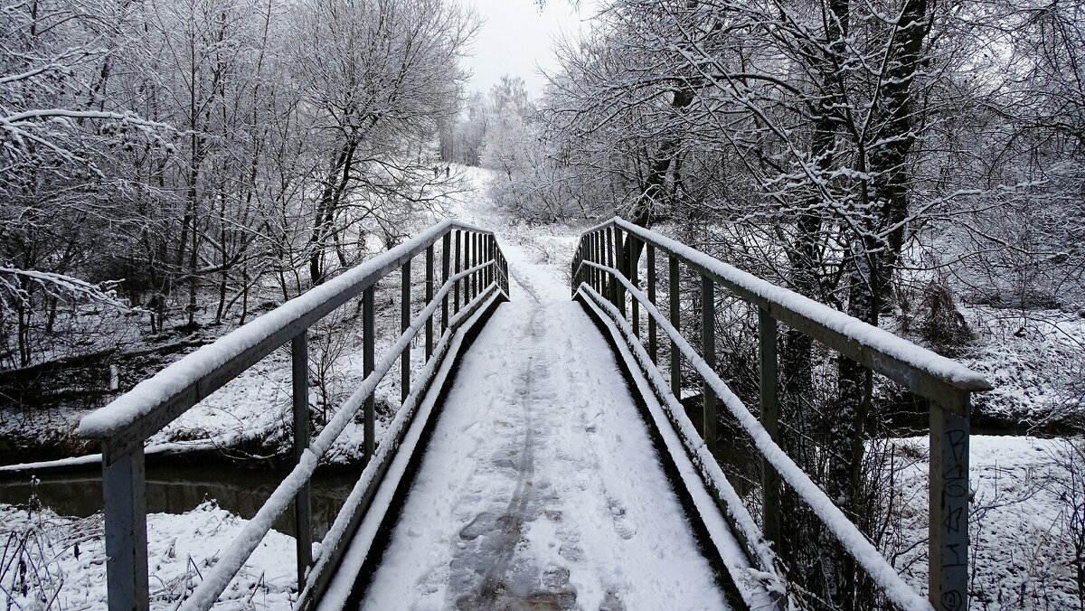 Мост через ручей в городском парке. - Милешкин Владимир Алексеевич 