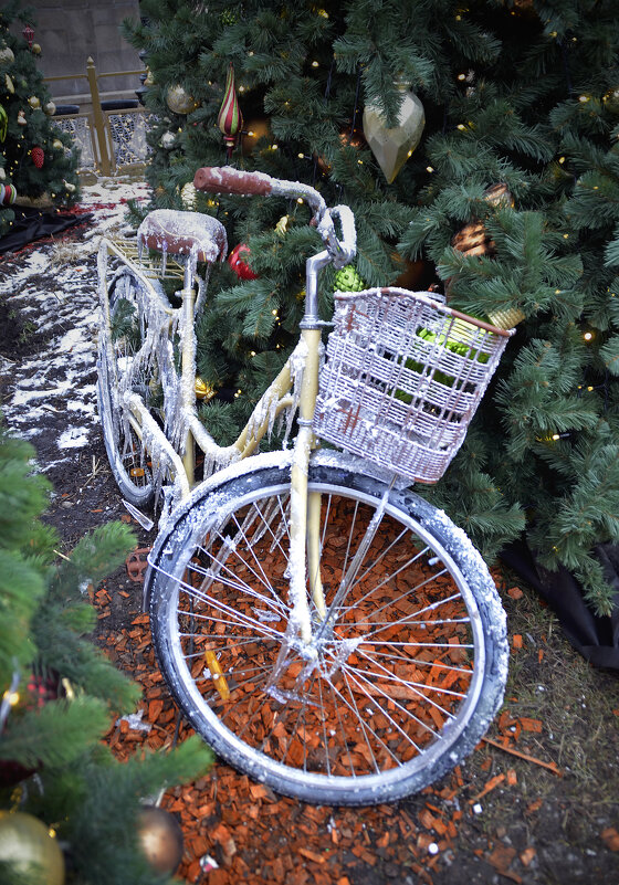 Велосипед снеговика - Нина Синица
