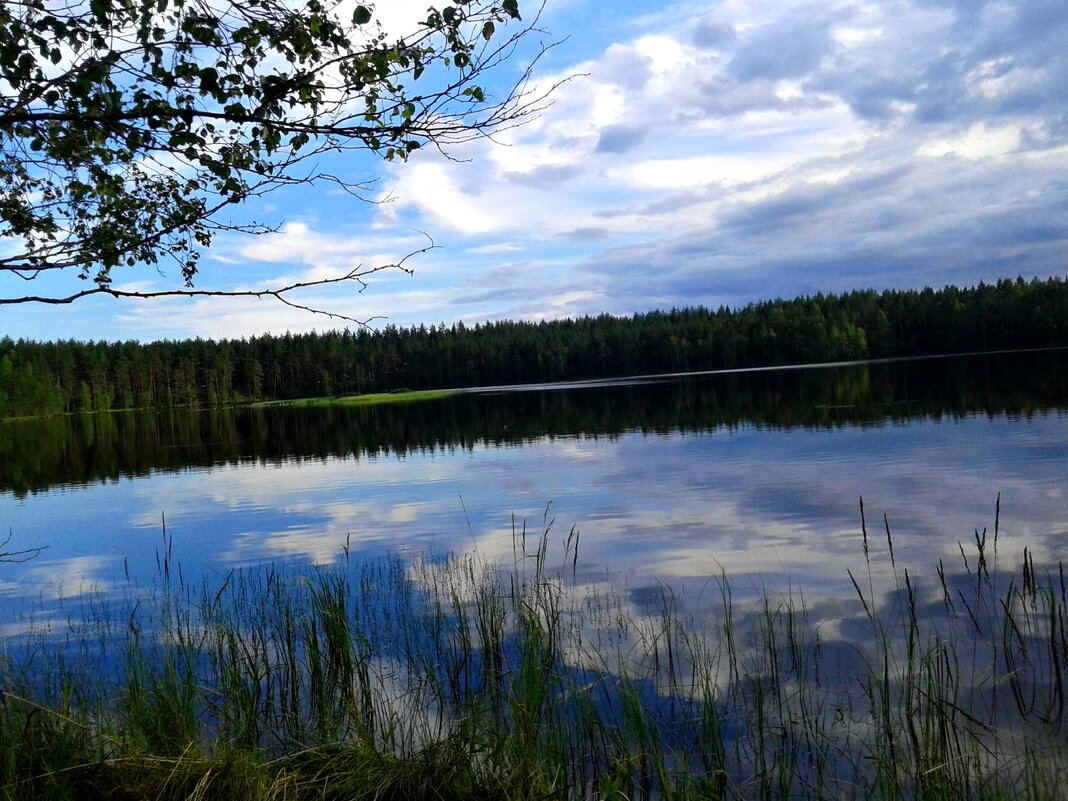 Озеро - Елена Вишневская