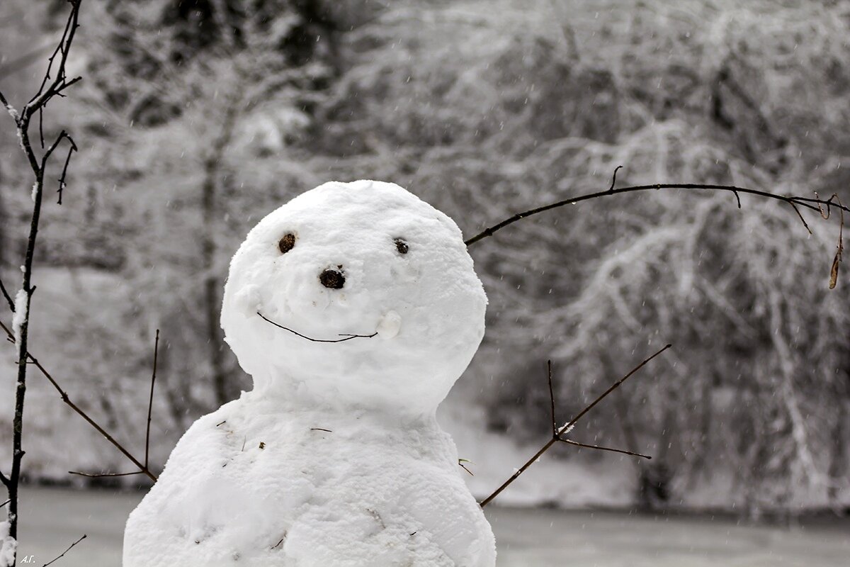 Первый снеговик - Александр 
