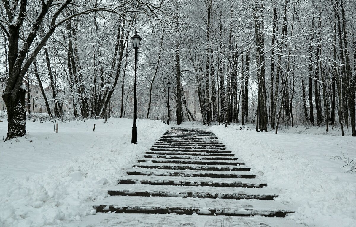 Парк после снегопада - Милешкин Владимир Алексеевич 