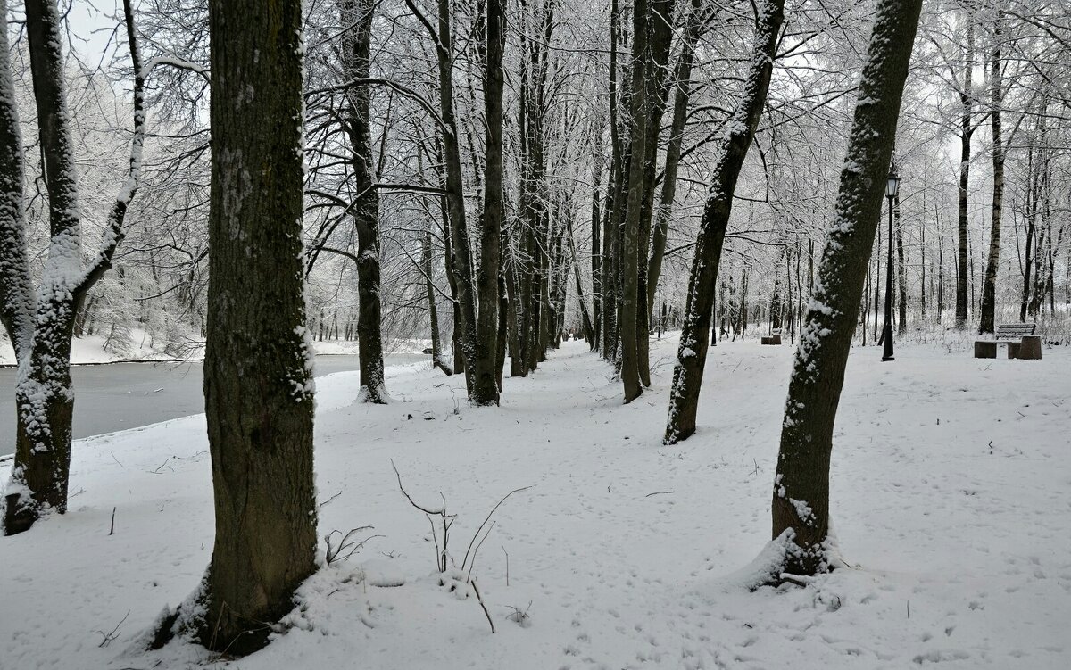 Городской парк после снегопада - Милешкин Владимир Алексеевич 