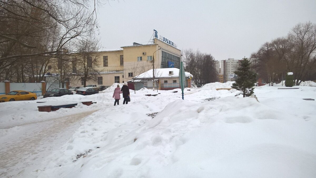 Когда было много снега - Елена Семигина