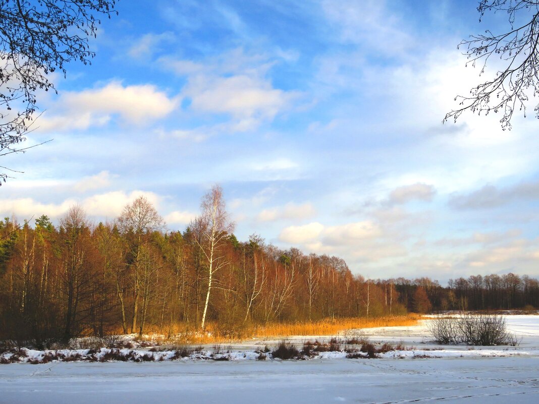 У зимнего озера - Андрей Снегерёв