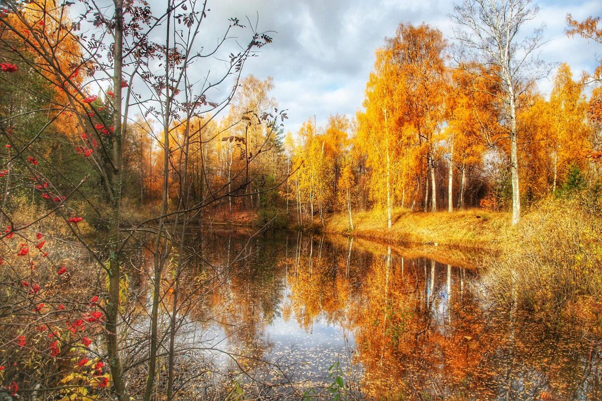 Красавица осень. - Анастасия Самигуллина