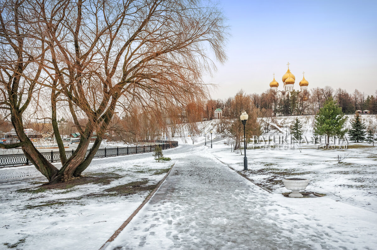 Успенский собор и дерево - Юлия Батурина