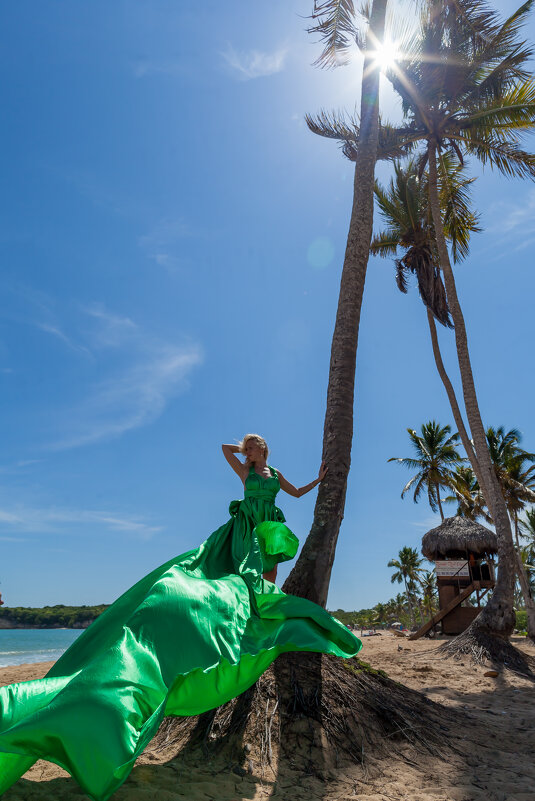 Шикарные пальмы на пляже Макао в Доминикане - Алана 