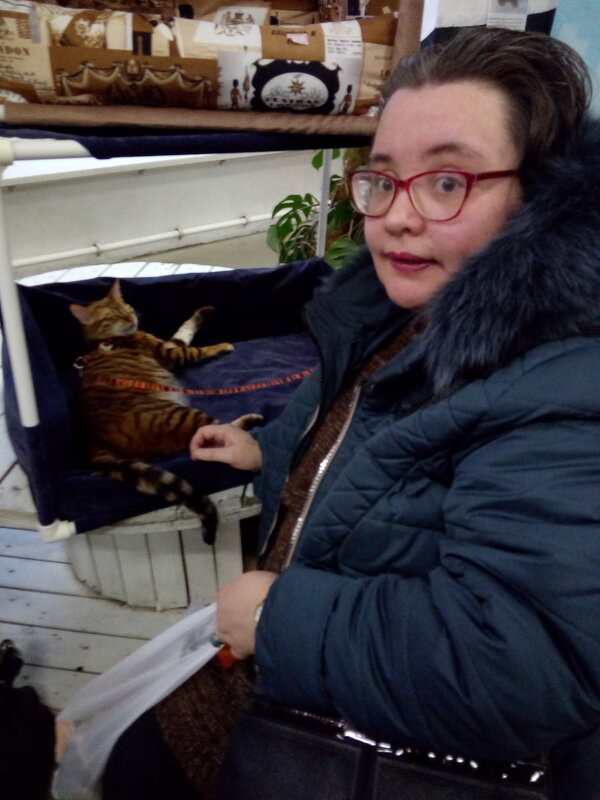 На выставке кошек в Лофт Проект ЭТАЖАХ (Петербург). - Светлана Калмыкова