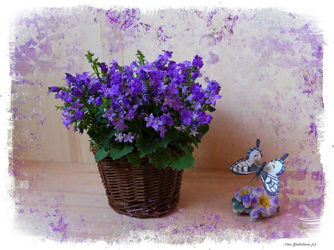 Синие колокольчики и бабочка - Nina Yudicheva