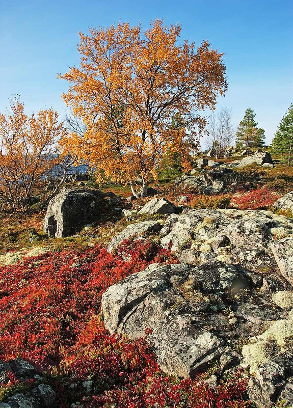 Осень на островах - Сергей Курников