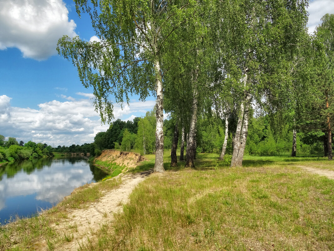 Солнечный день на Клязьме - Денис Бочкарёв