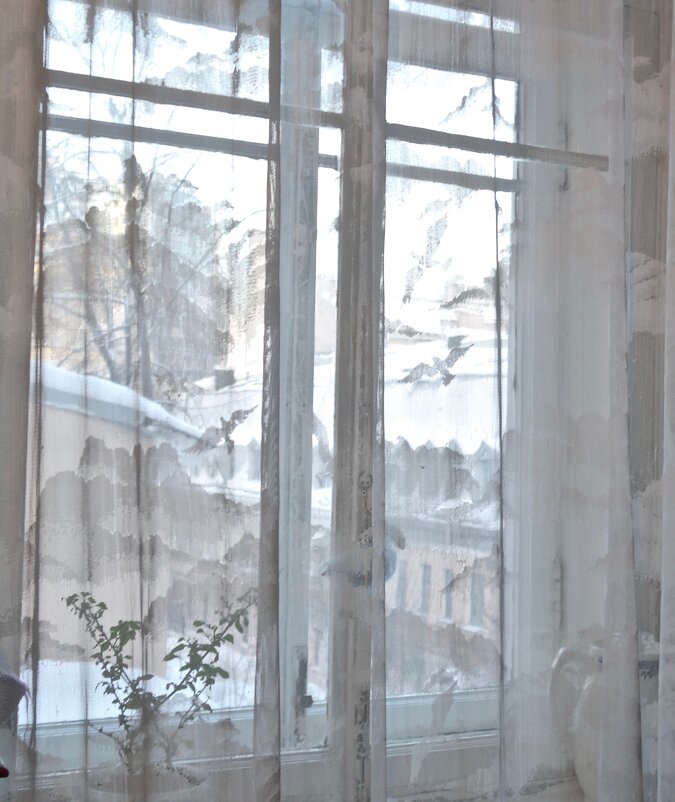 зима за окном - Елена 