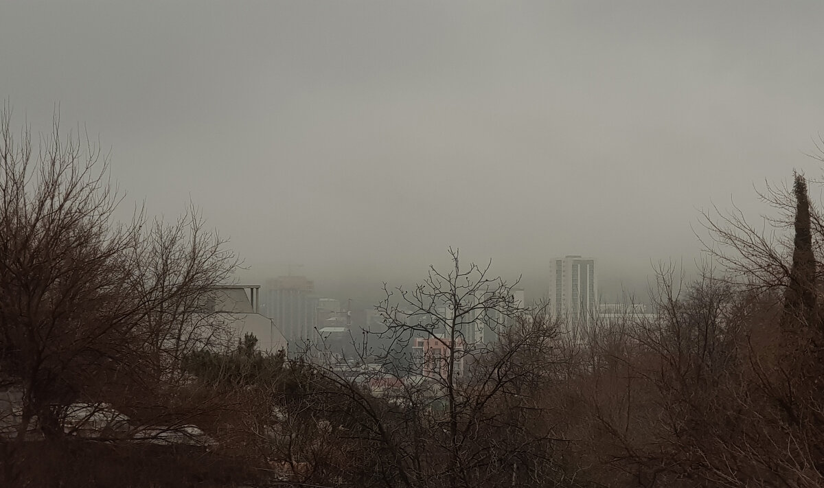 Утренний туман - Наталья (D.Nat@lia)
