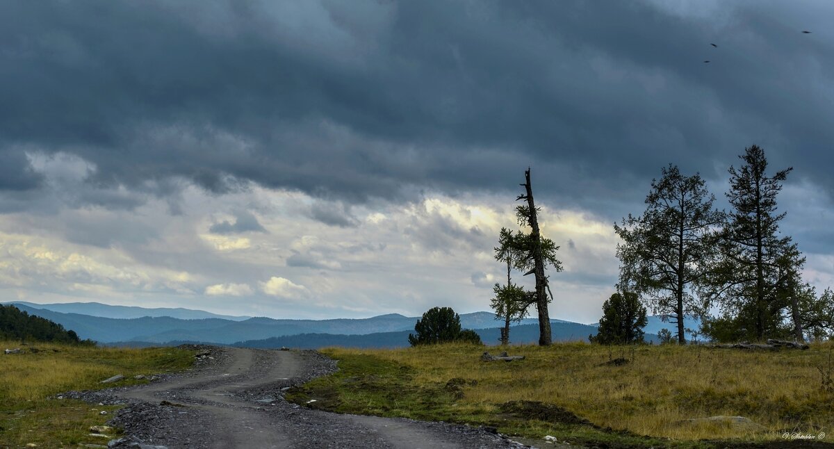 Семинский перевал, дорога к панораме - Виктор Штабкин