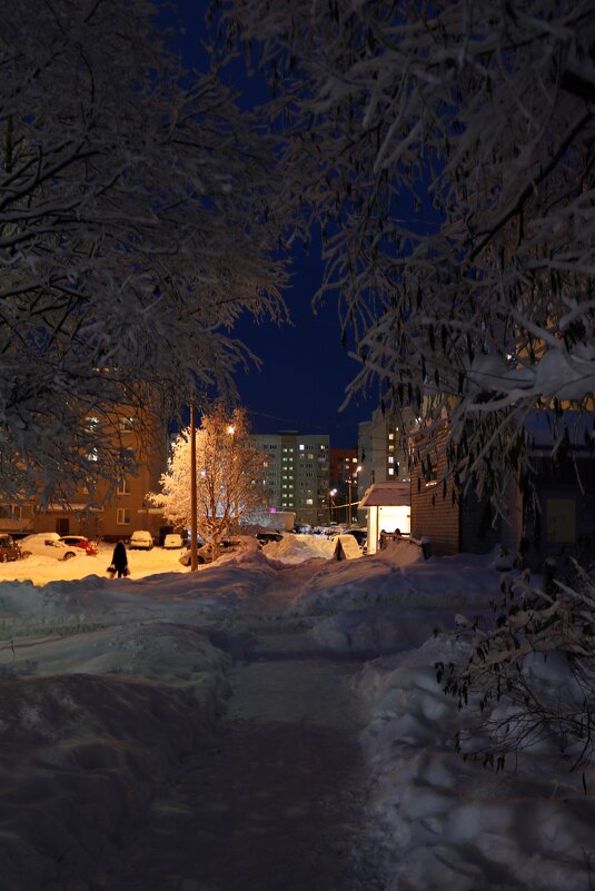 Жизнь в ночном городе - Ольга 