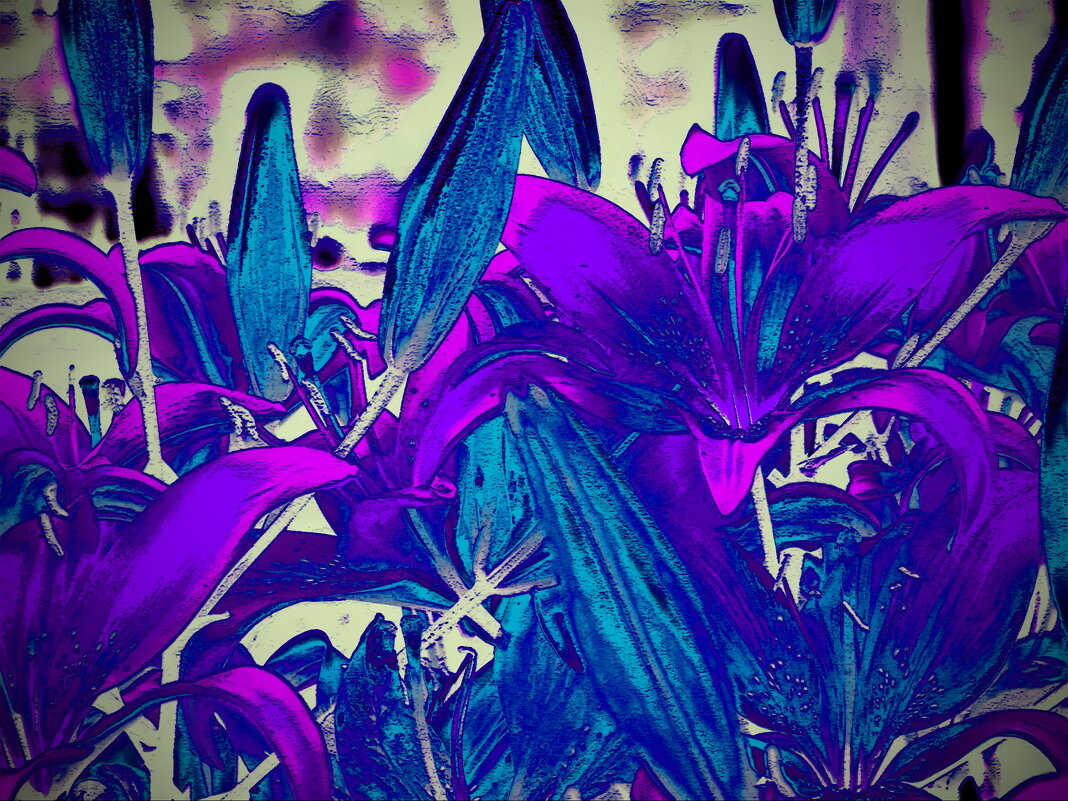 Лиловые лилии - Galina Serebrennikova