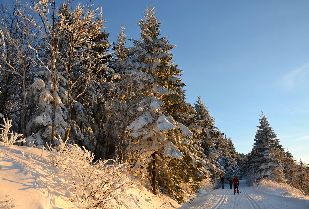 Зимний отдых в горах - tamara *****